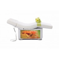 Косметологическое кресло-кушетка IONTO-WELLITY Soundmotion