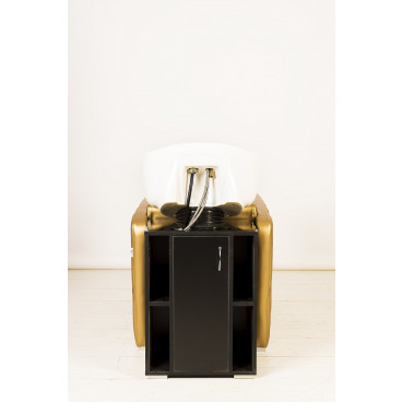 Парикмахерская мойка "Симфония II"