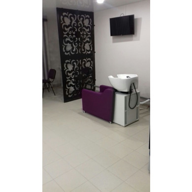 Мойка парикмахерская "Groan"